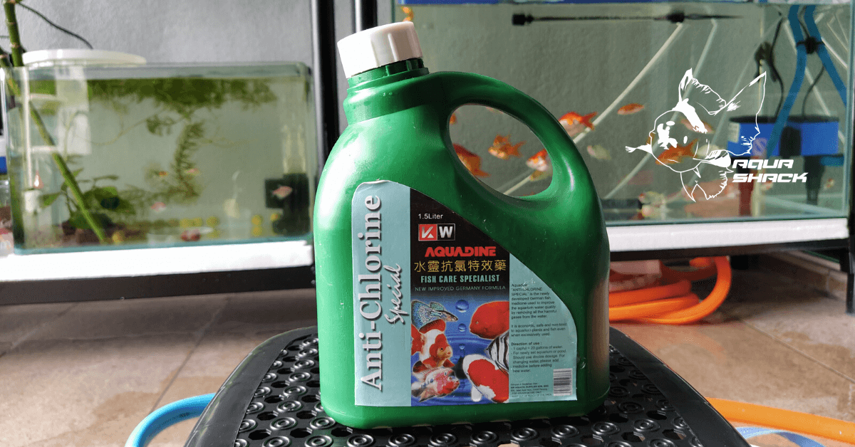 Anti Chlorine REVIEW Part 1 Aqua Shack